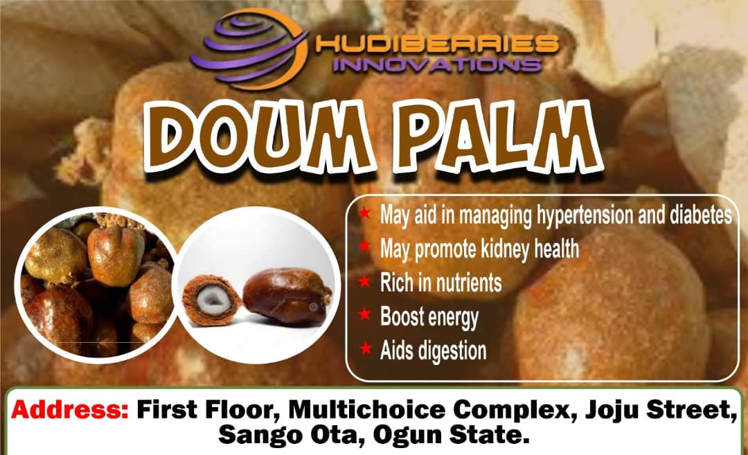 KudiBerries Doum Palm Seeds 